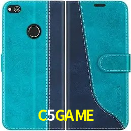 C5GAME